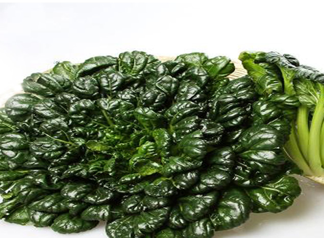 635Section_slider_win005