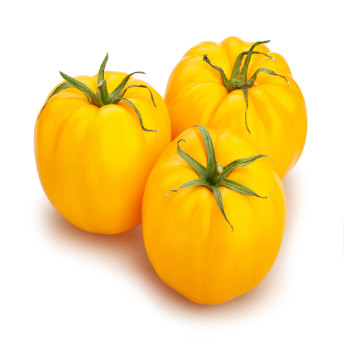 イエロートマト